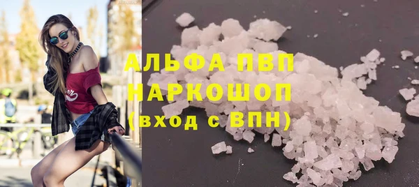 прущие грибы Рославль