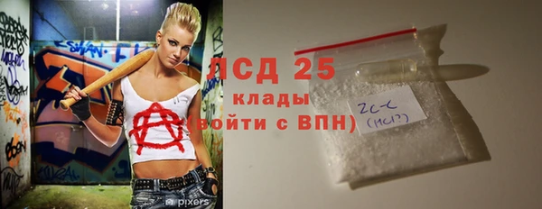 прущие грибы Рославль