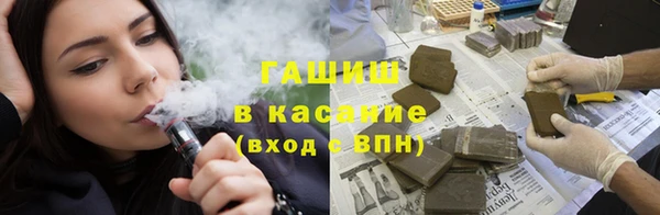 прущие грибы Рославль