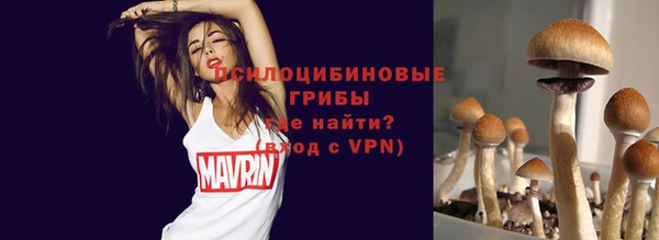метадон Ростов