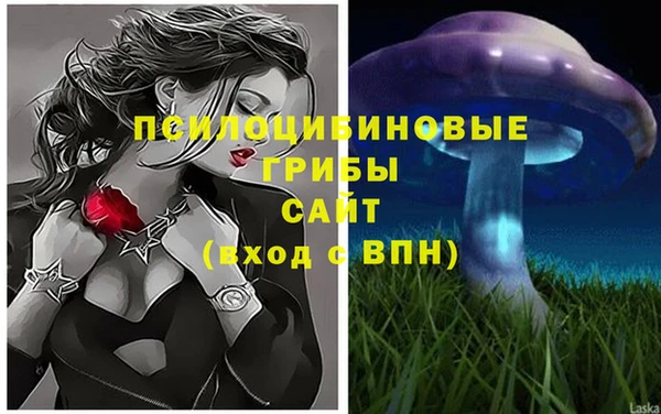 прущие грибы Рославль