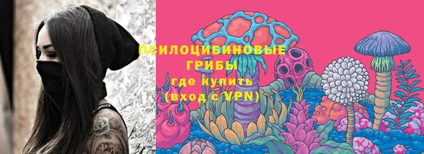 прущие грибы Рославль