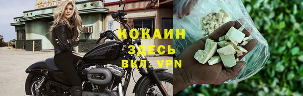 прущие грибы Рославль