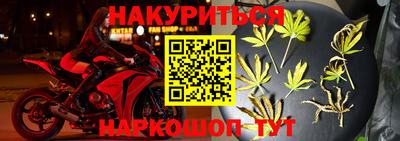 спиды Аргун