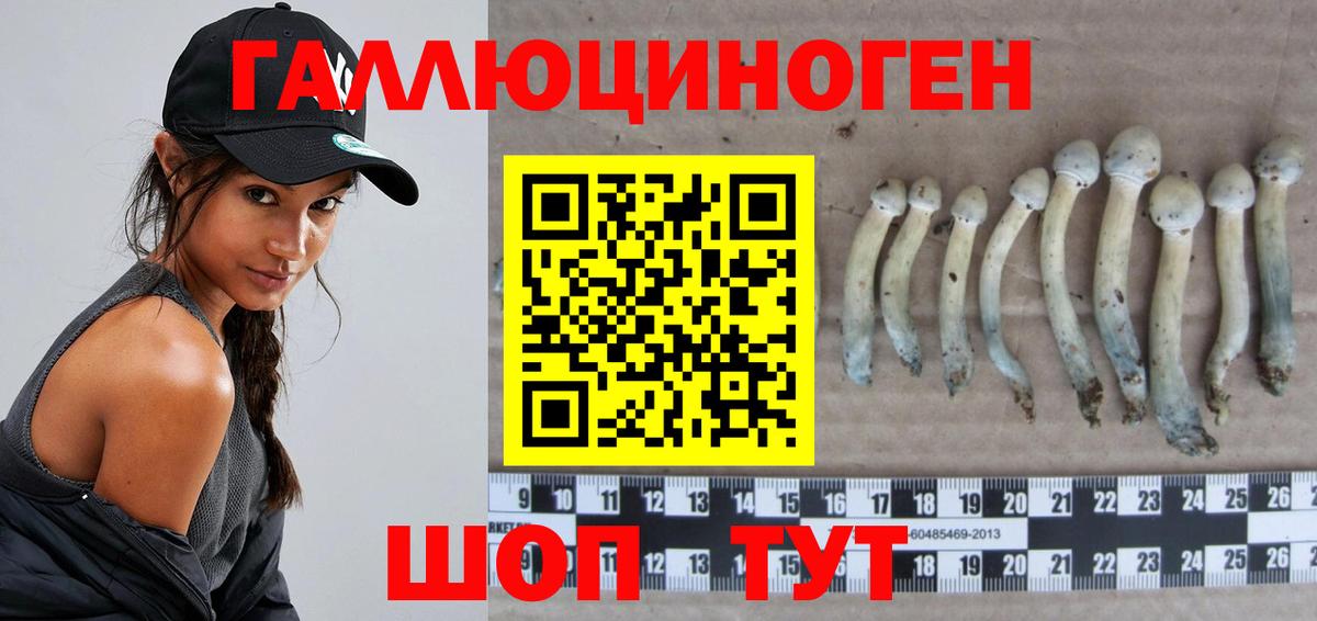 Галлюциногенные грибы MAGIC MUSHROOMS Сибай